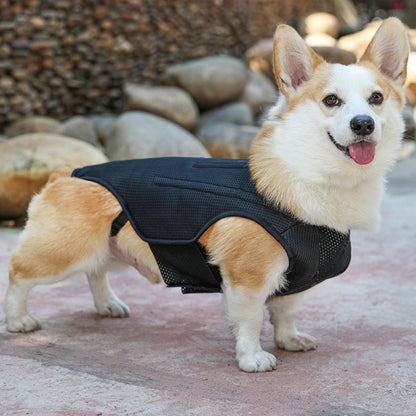 Dog Back Brace Flexible Comfortable Dog Back Protector For Old Dogs Disabled