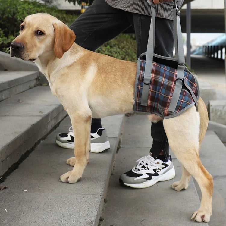 Dog Support Harness Front and Back Legs For Small Medium Large Dogs