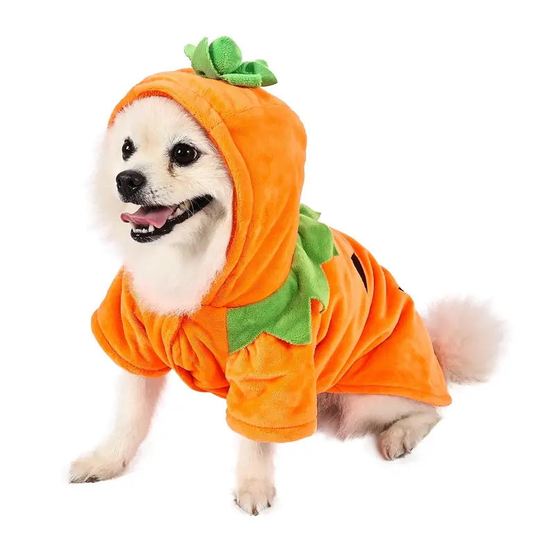 Comical Pumpkin Pet Costume Soft Hoodie - OutfitLondon