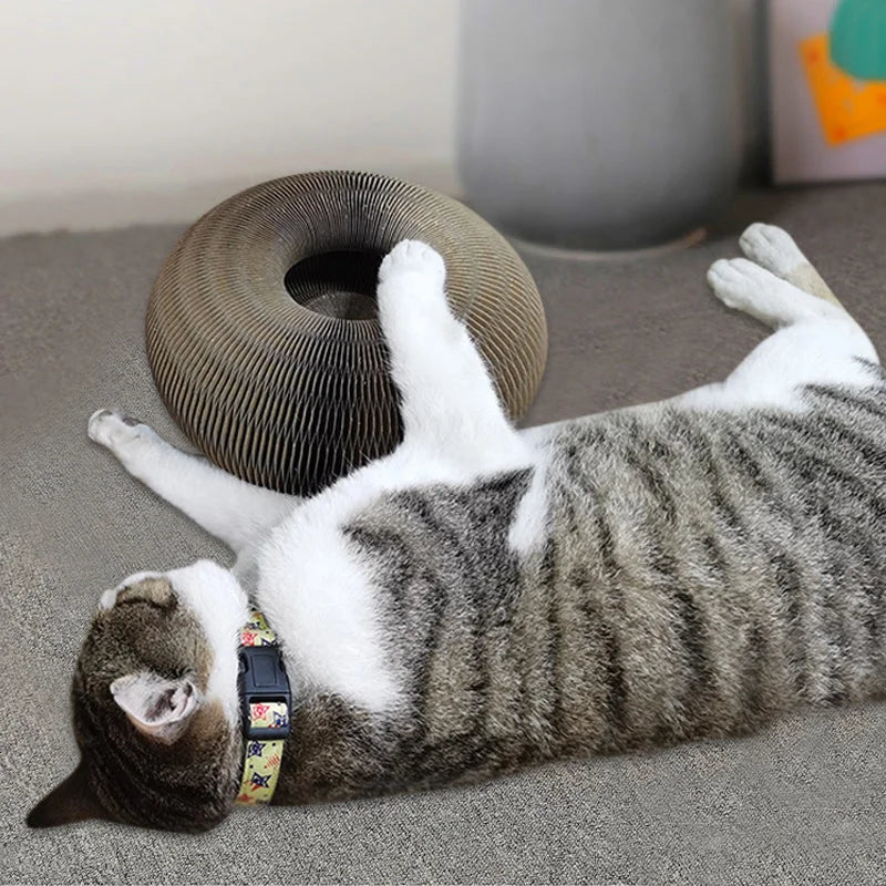 Magic Organ Cat Scratching Board