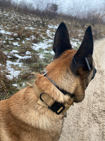 Tactical Dog Collar Military Adjustable Nylon