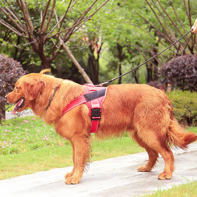 Personalized Dog Harness - Engrave Your Pet's Name