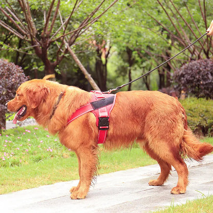 Personalized Dog Harness - Engrave Your Pet's Name