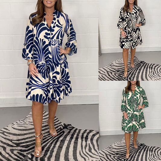 Printed Swing Dress