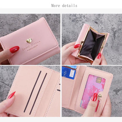 Small Colourful Folding Wallet