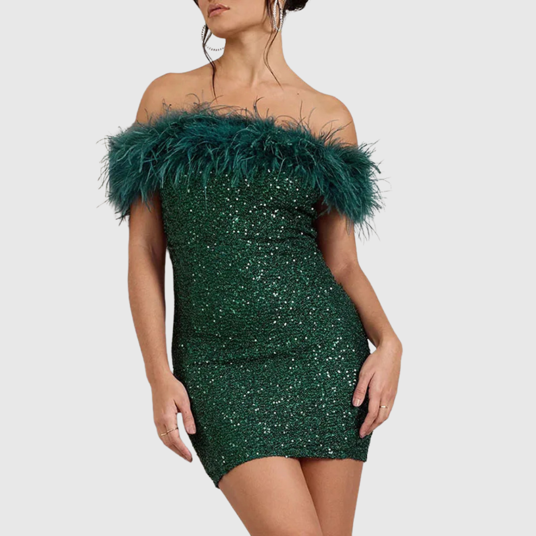Sparkly Off Shoulder Party Dress