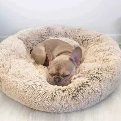 Calming Dog Bed - Comfy Dount Cat And Dog Bed & Anti Anxiety Pet Bed