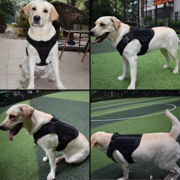 Military No-Pull Tactical Dog Harness Vest