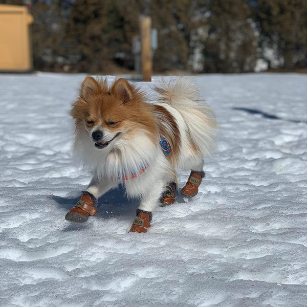 Thick Soft Snow Boots Of Dogs