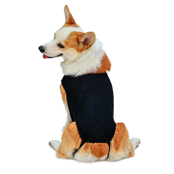 Dog Back Brace Flexible Comfortable Dog Back Protector For Old Dogs Disabled