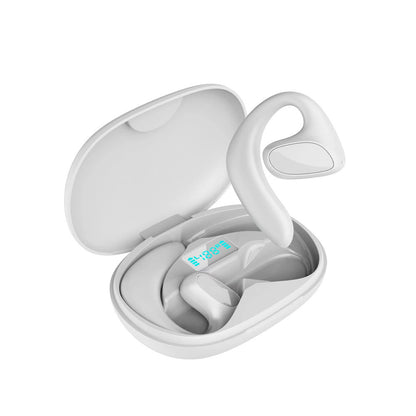 Language Translator Earbuds