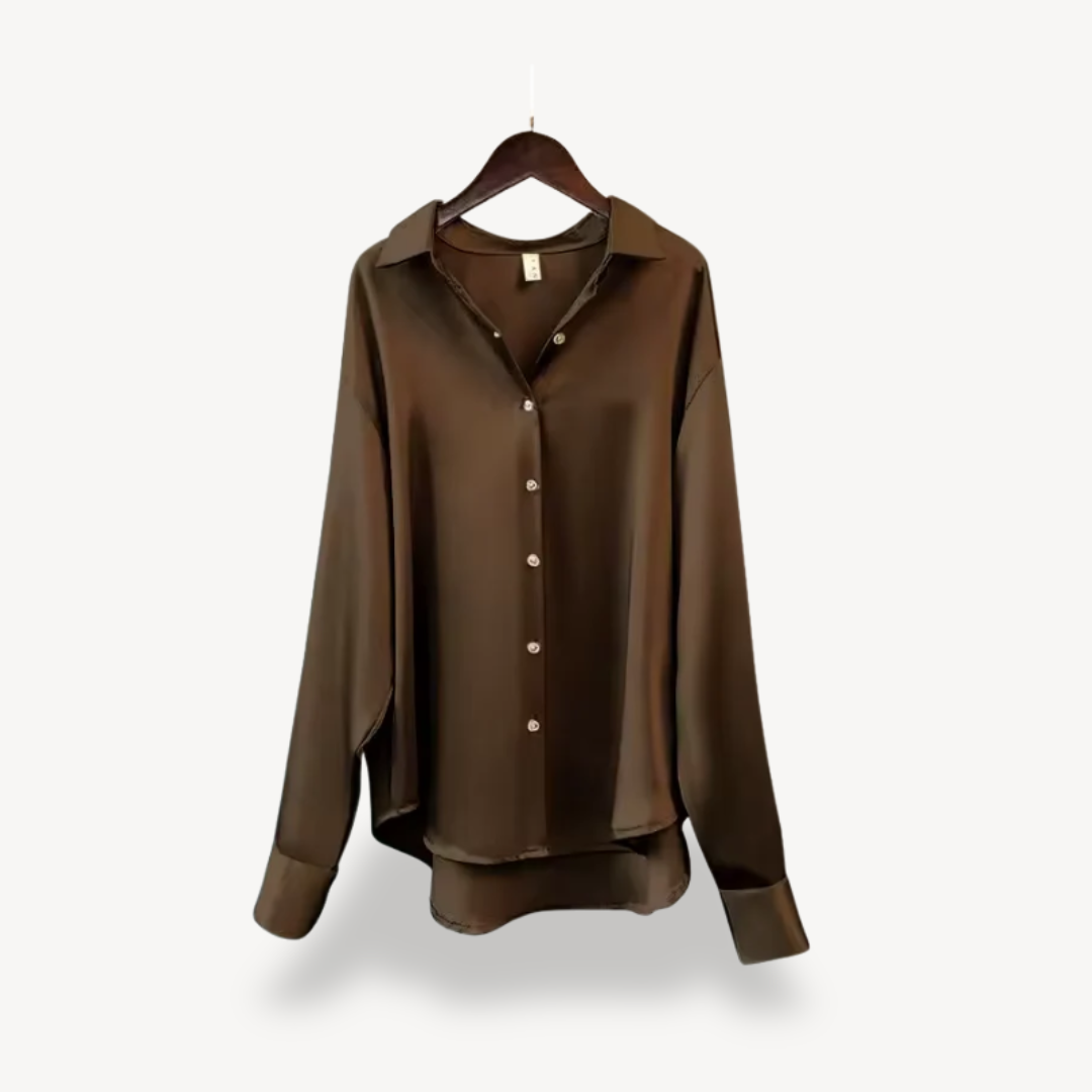 Soft Elegant Long Sleeve Ladies Blouse