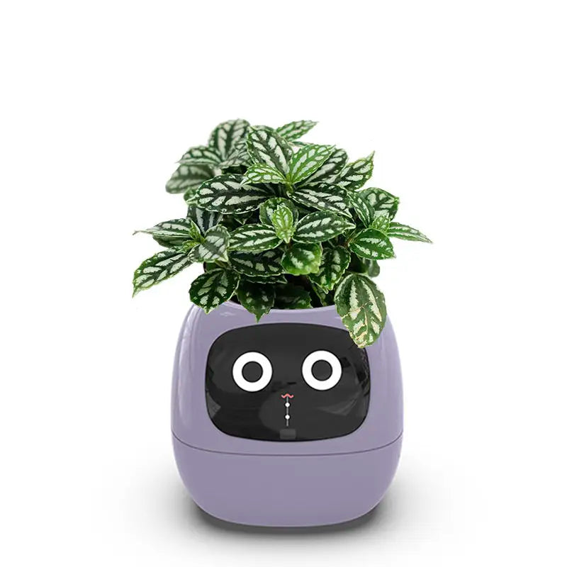 Smart Automatic Indoor Herb Planter With Sensors