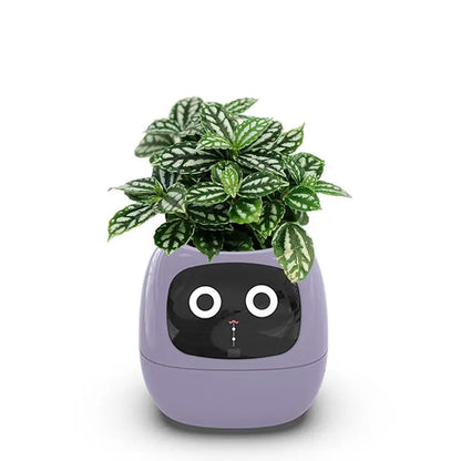 Smart Automatic Indoor Herb Planter With Sensors