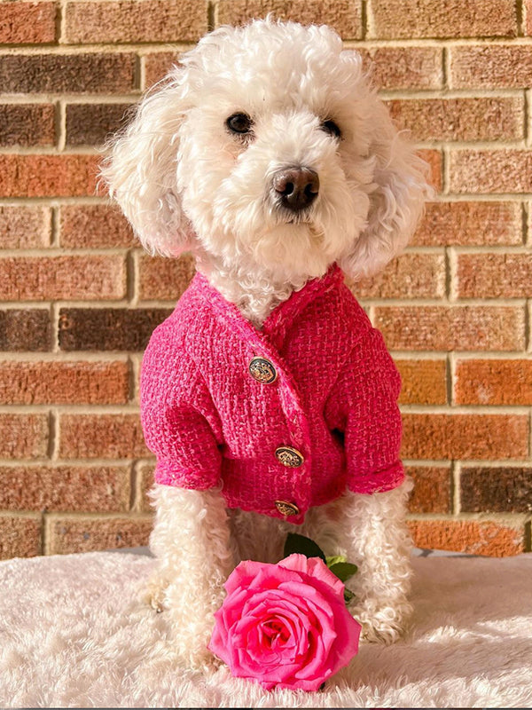 Warm Pet Clothes Jacket