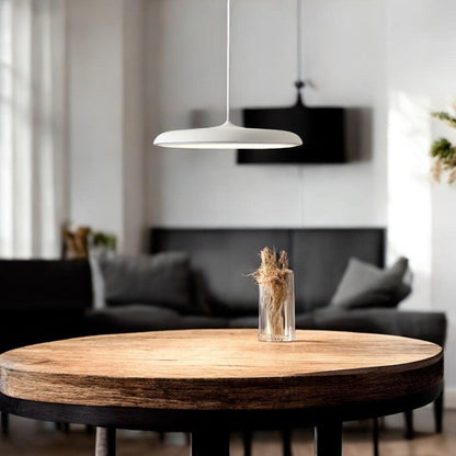 Simple Modern LED Pendant Ceiling Light