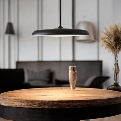Simple Modern LED Pendant Ceiling Light