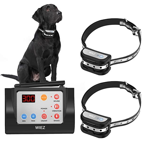 2-in-1 Wireless Dog Fence & Outdoor Training Collar