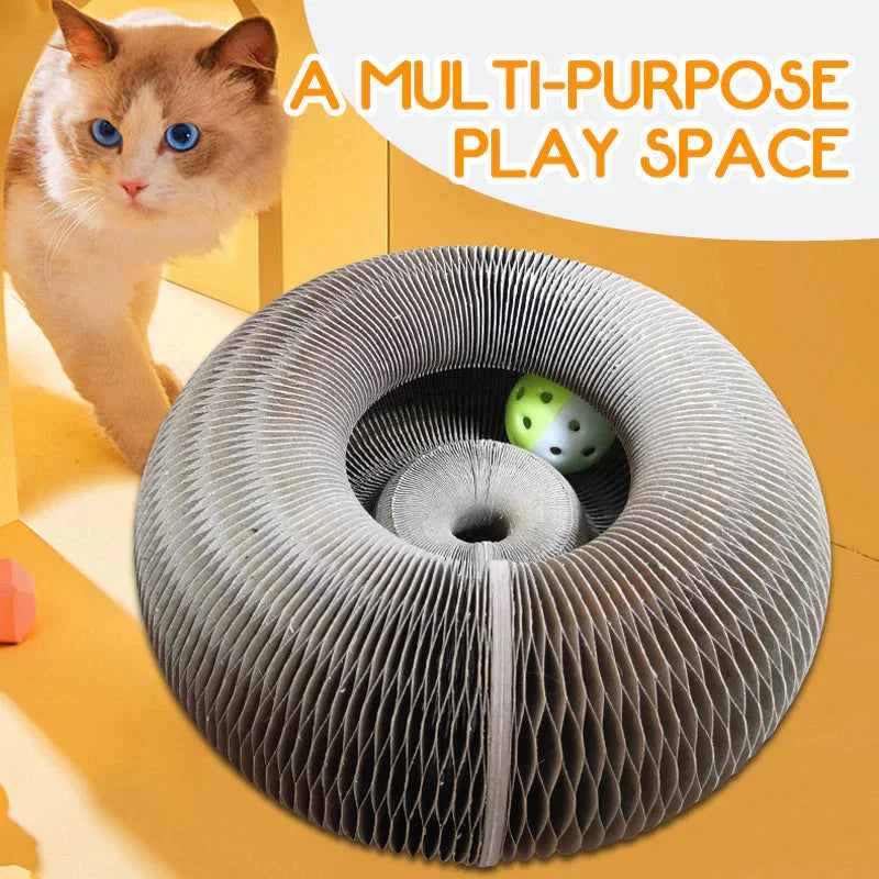 Magic Organ Cat Scratching Board