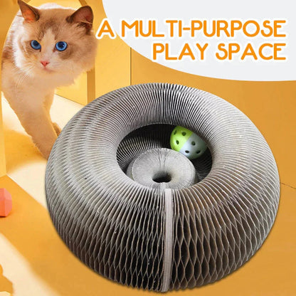 Magic Organ Cat Scratching Board