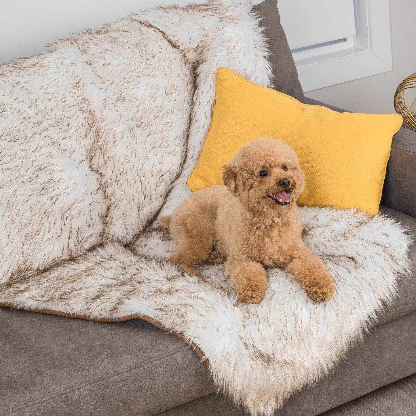 Waterproof Dog Throw Blanket