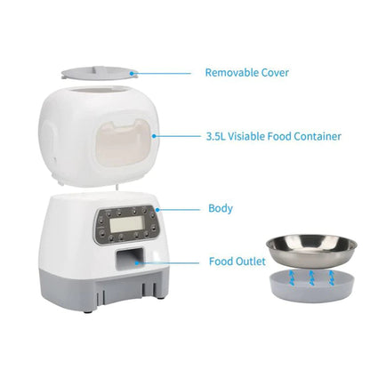 Automatic Cat Dog Feeder With Timer Pet Supplies 3.5L Smart Food Dispenser For Pets