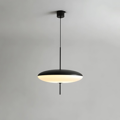 Elegant Glass Pendant Light