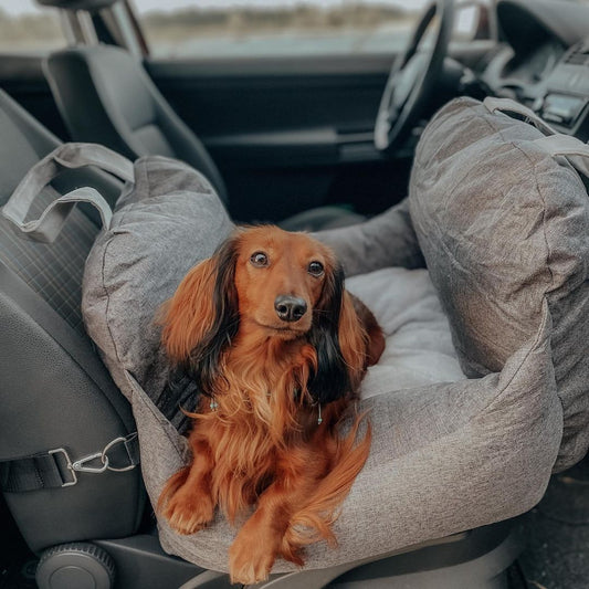 Travel Dog Car Seat Bed - Gymbag Water-Resistant