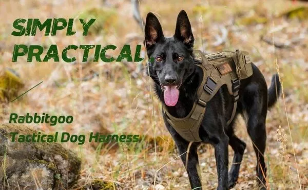 Military No-Pull Tactical Dog Harness Vest