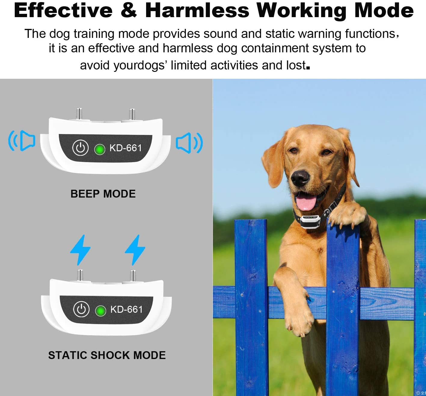 Challenger Wireless Dog Fence
