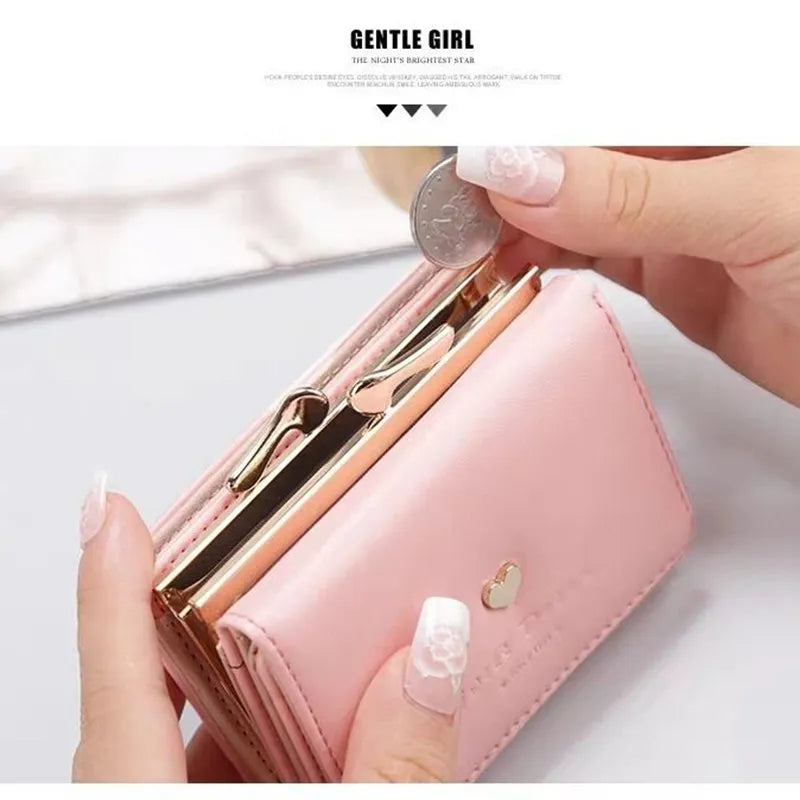 Small Colourful Folding Wallet