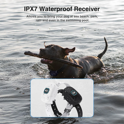 2-In-1 Wireless Dog Fence