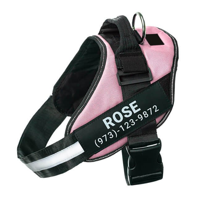 Custom No Pull Dog Harness