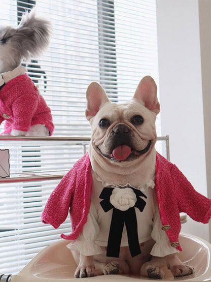 Warm Pet Clothes Jacket