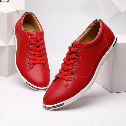 Men's Shoe