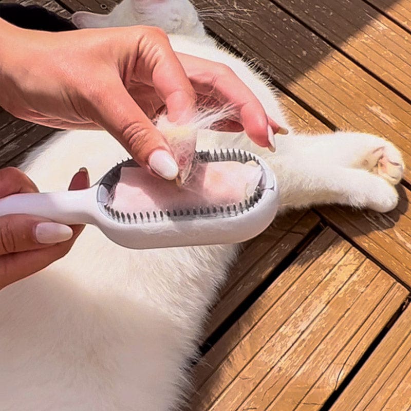 Multifunctional pet cleaning brush