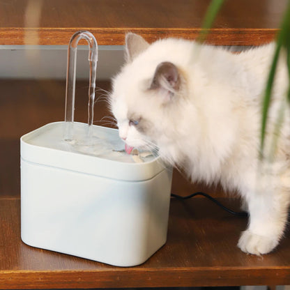 Filtered Water Fountain for Cats