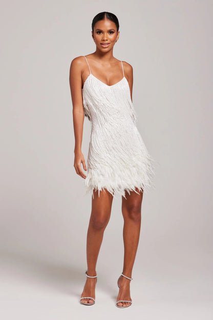 Elegant V Neck Mini Dress