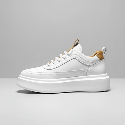 Fresh Low Top Sneakers with Simple Style