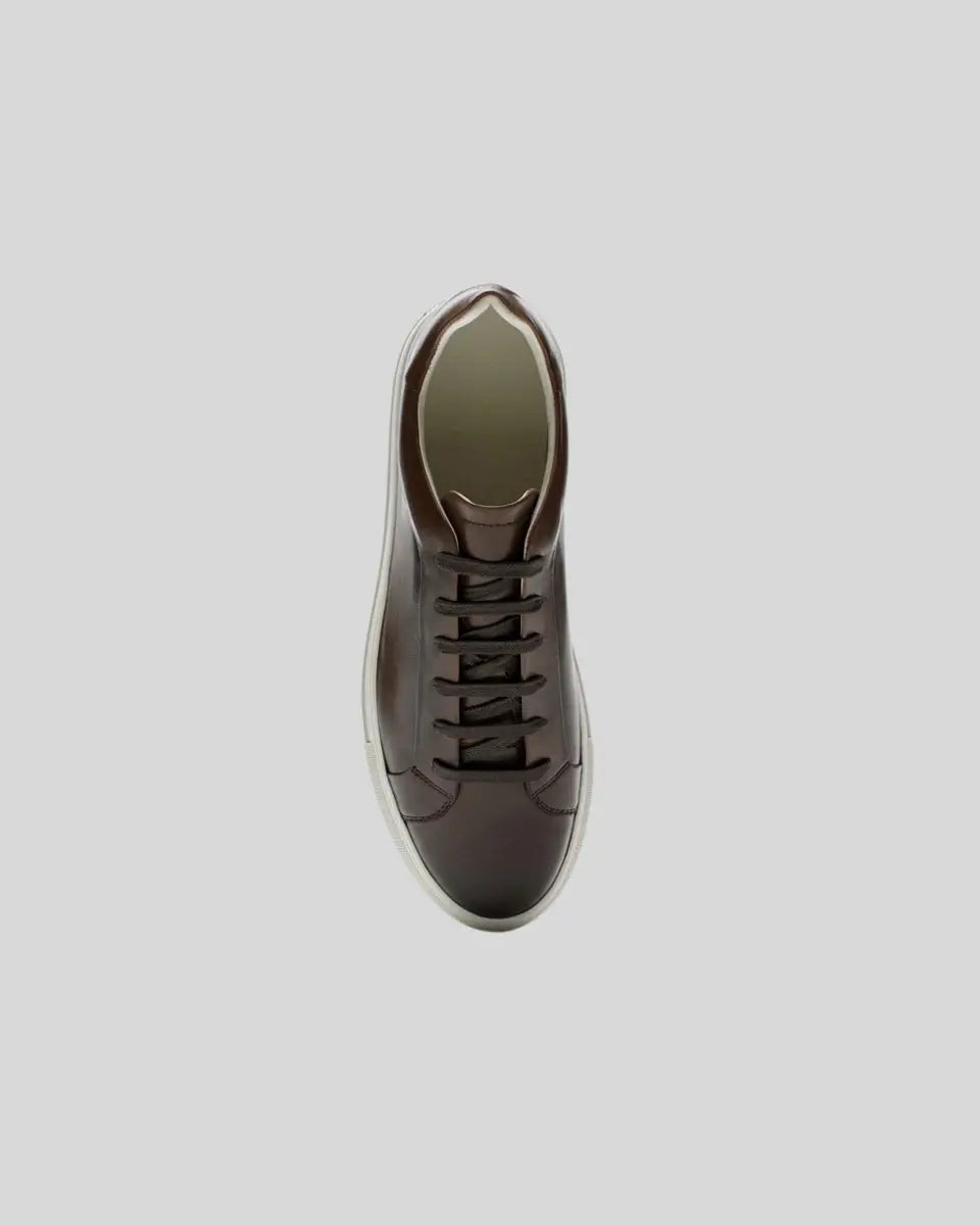 Luxury Classic Brown Shoes