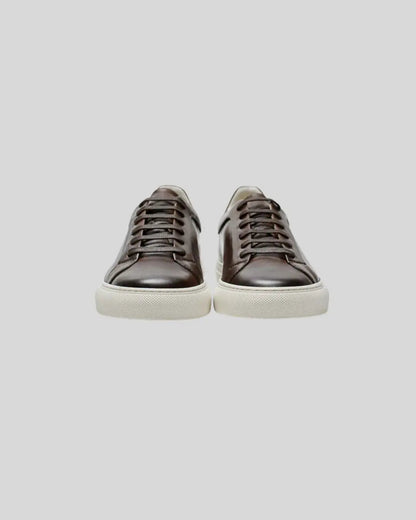 Luxury Classic Brown Shoes