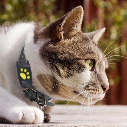 Pet GPS Tracker for Cats Real Time Location Finder