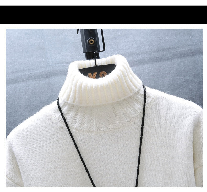 Cozy Men's Crew Neck Thick Winter Sweater