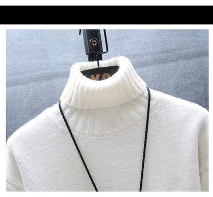 Cozy Men's Crew Neck Thick Winter Sweater