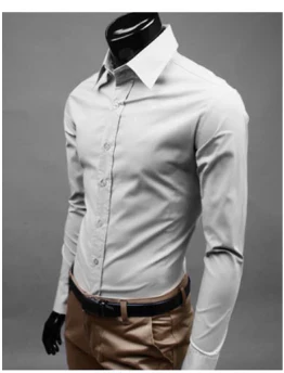 Comfortable Cotton Regular Fit Dress Shirt