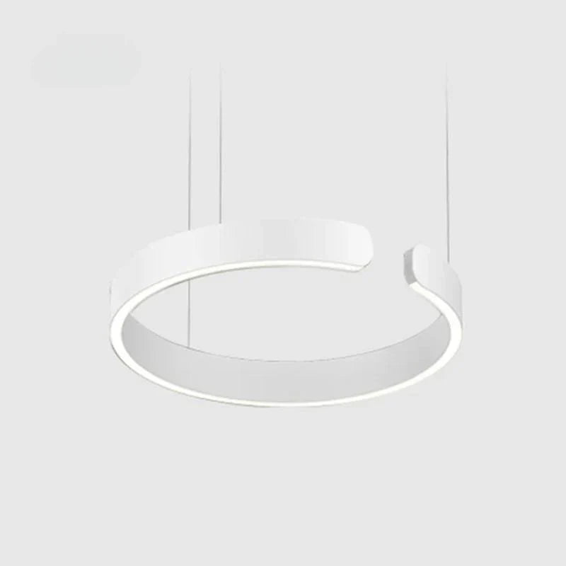 Stylish Dual Circle Pendant Light with Hanging Shade