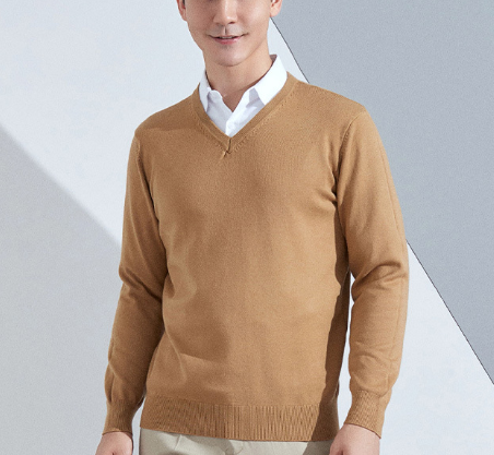 Eliott Men's V-Neck Slim Fit Sweater