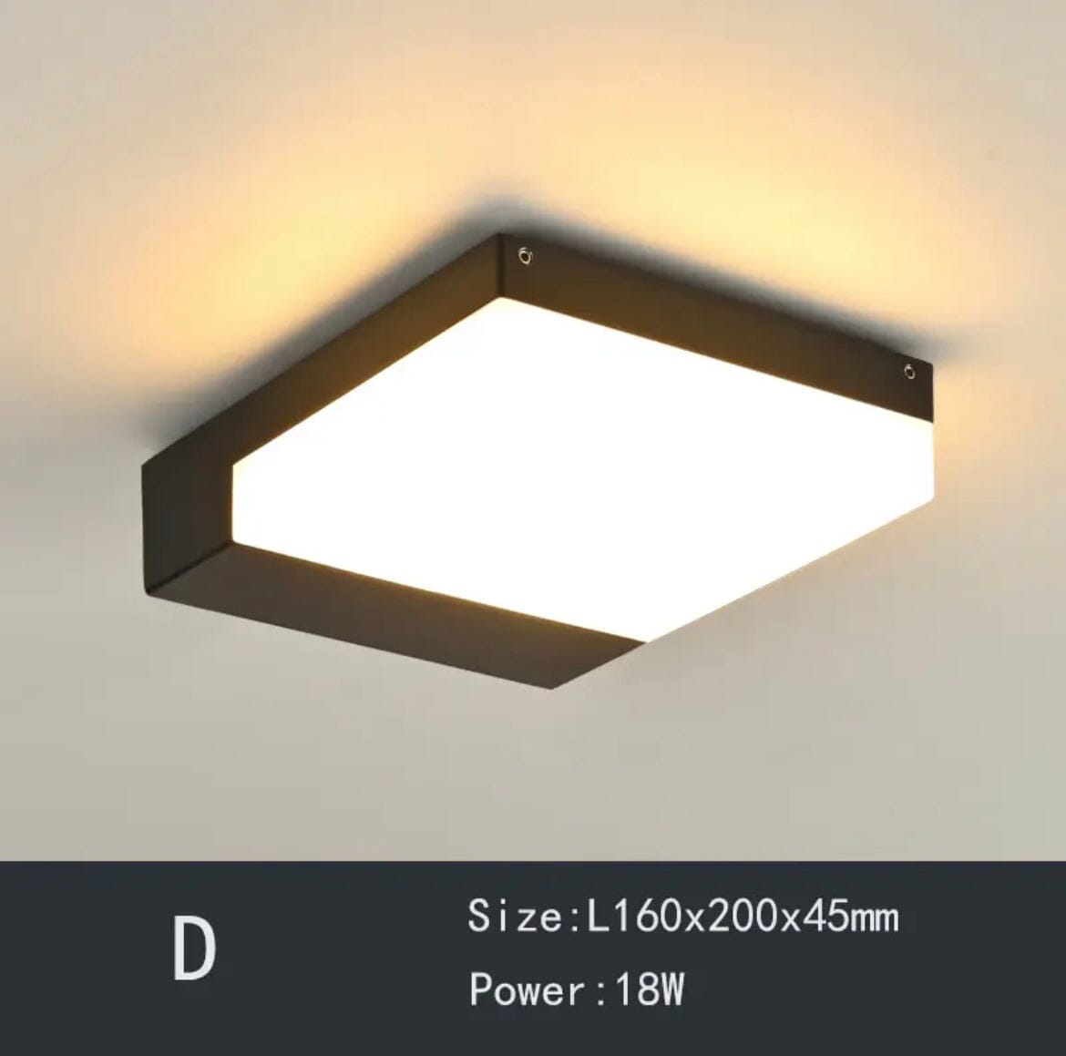 Classic Design Ceiling Light for Halls