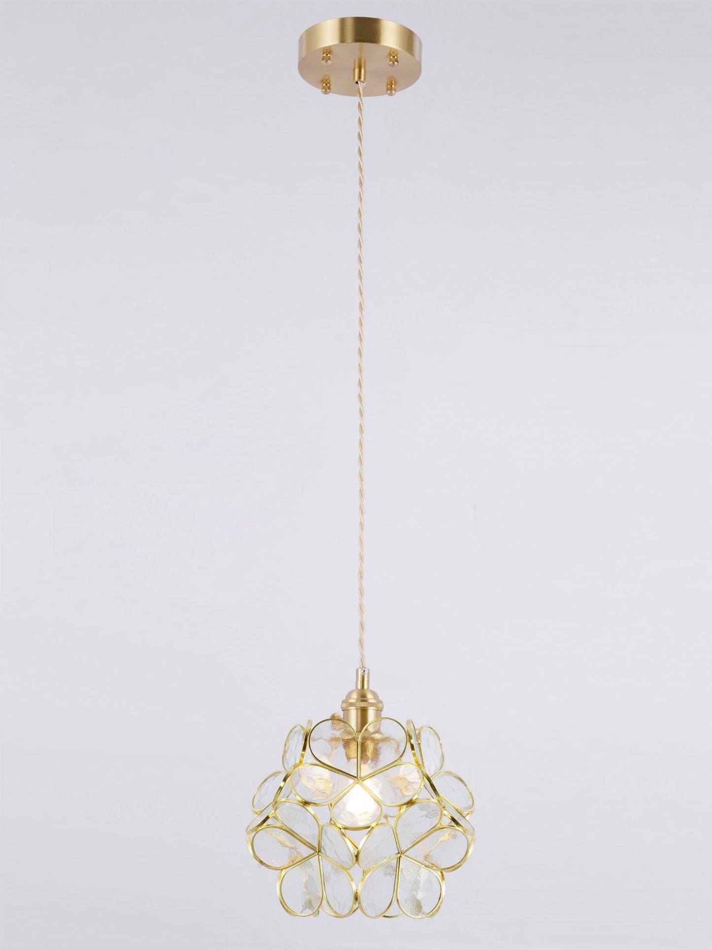 Classic Glass Pendant Light with Brass Accent