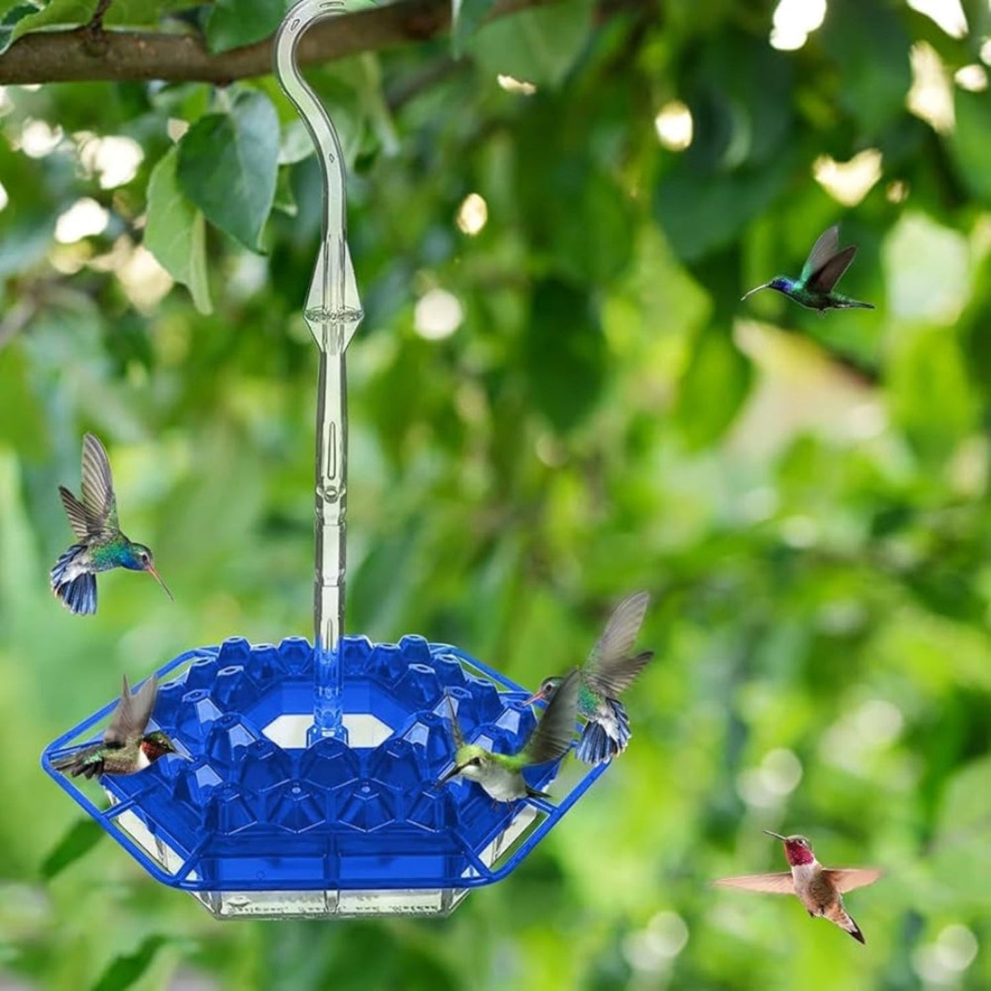 Colorful Garden Hummingbird Feeder